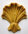 coquille_cc02.jpg