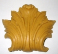 coquille_f.jpg
