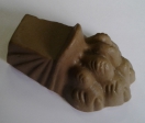 patte_de_lion_alllonge.jpg